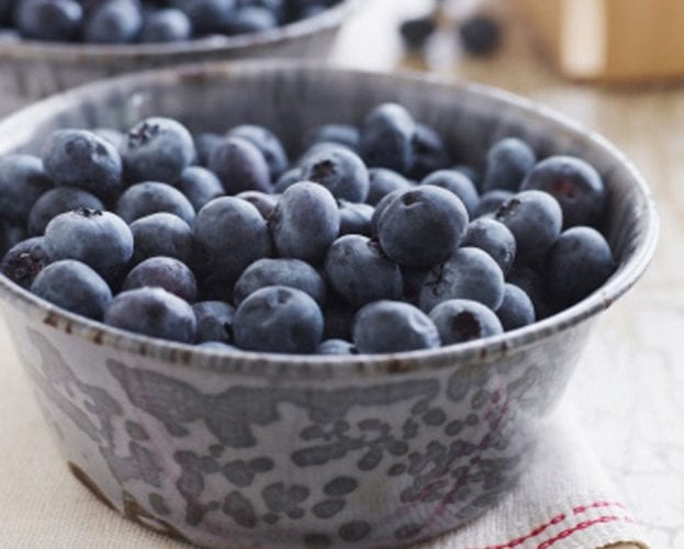 Chocolate fudge pots with blueberries in cassis