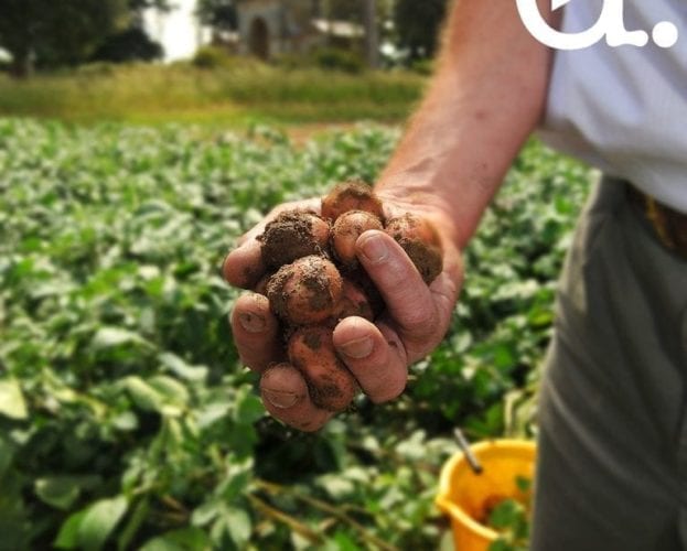 River Cottage’s Steven Lamb, the Jane Grigson Trust Awards and how to make kefir: listen now