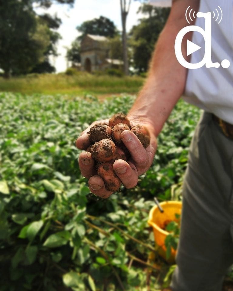 The future of farming at Holkham Estate: listen now