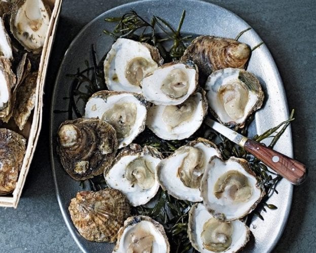 Shucked oysters on a plate