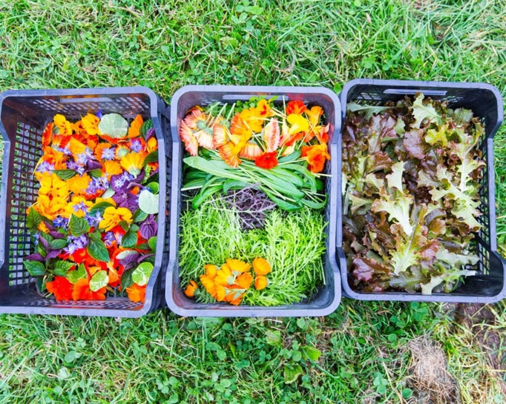 Boxes of bright produce