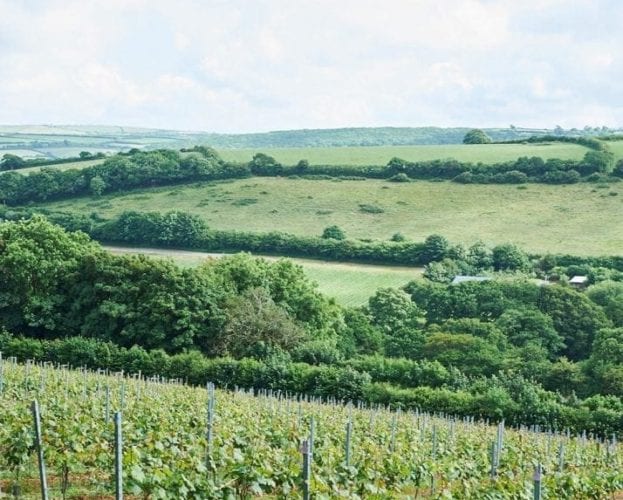 Where to eat in the Lake District
