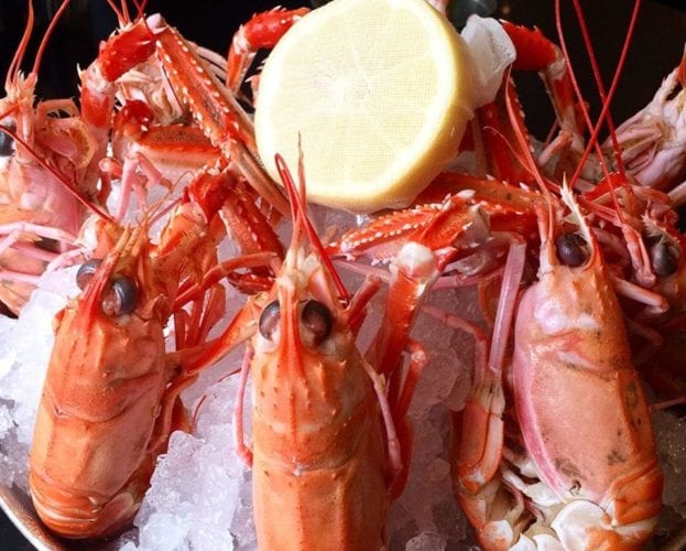 Where to eat in Edinburgh