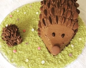 How to make a chocolate hedgehog cake