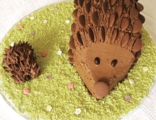 How to make a chocolate hedgehog cake