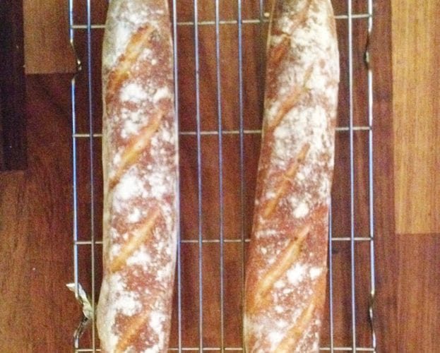 Lemongrass and vegetable fritter báhn mì