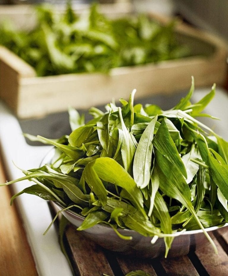 How to find wild garlic