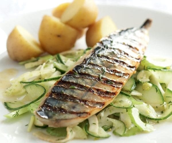 Griddled mackerel fillets with fennel and cucumber coleslaw