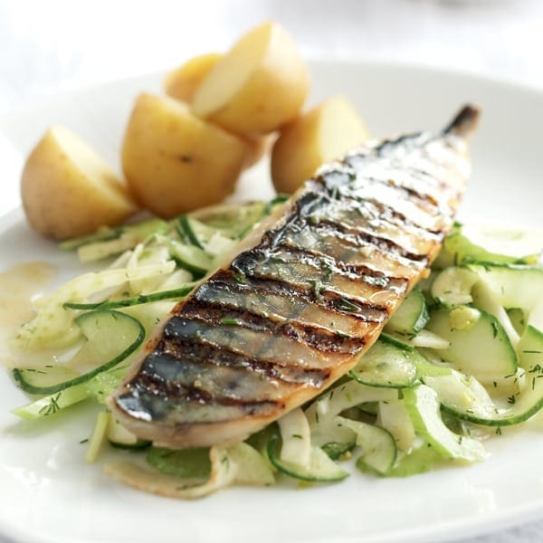 Griddled mackerel fillets with fennel and cucumber coleslaw