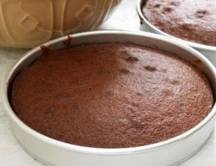 Simple chocolate cake