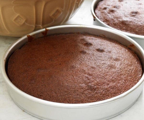 A baked chocolate cake shown in a round cake tin