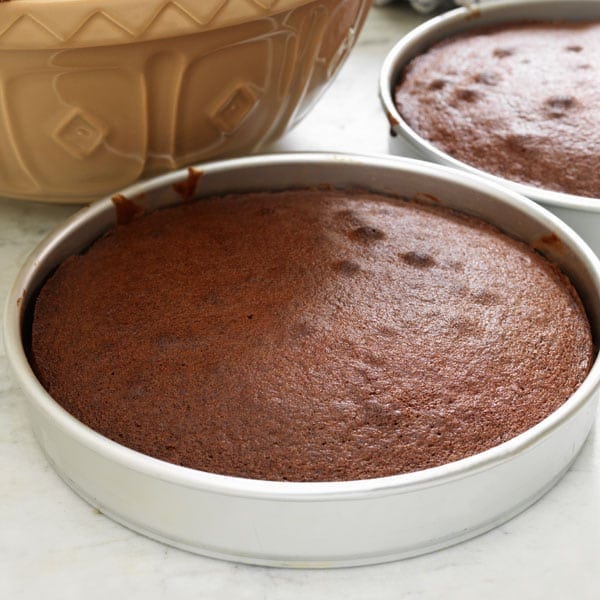 Quick and Easy Chocolate Cake Recipes