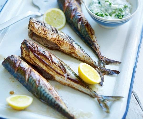 Grilled spiced mackerel with creamy cucumber