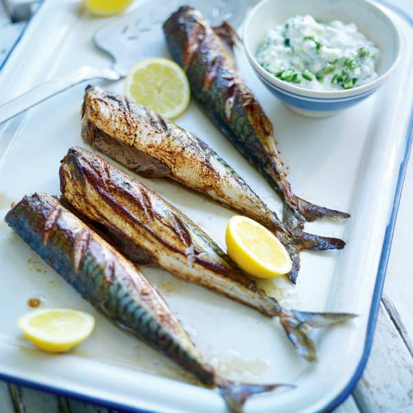 Grilled spiced mackerel with creamy cucumber