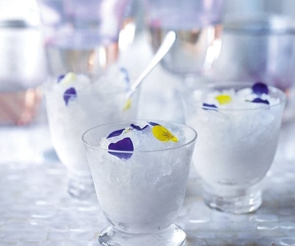 Gin and tonic granita