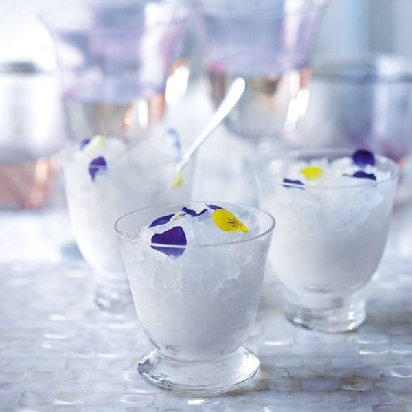 Gin and tonic granita