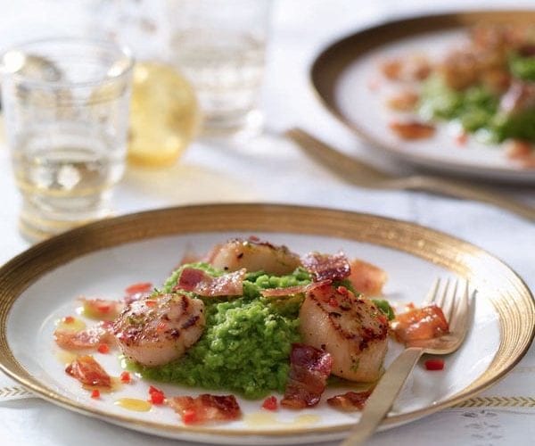 Scallops with minted peas