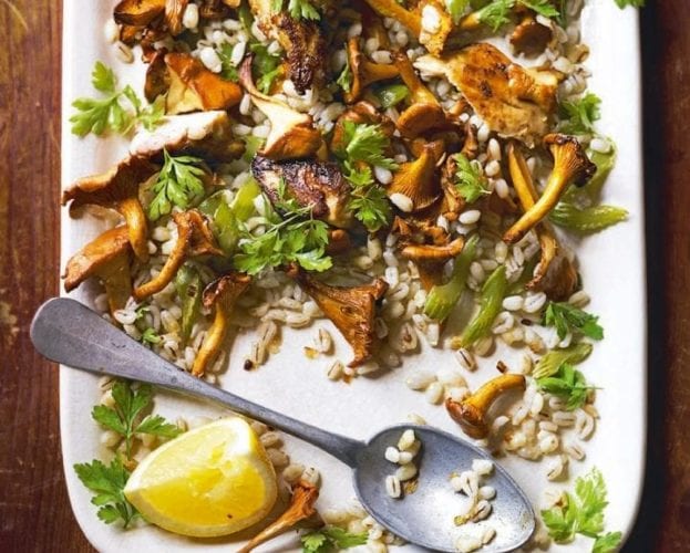Warm chicken salad