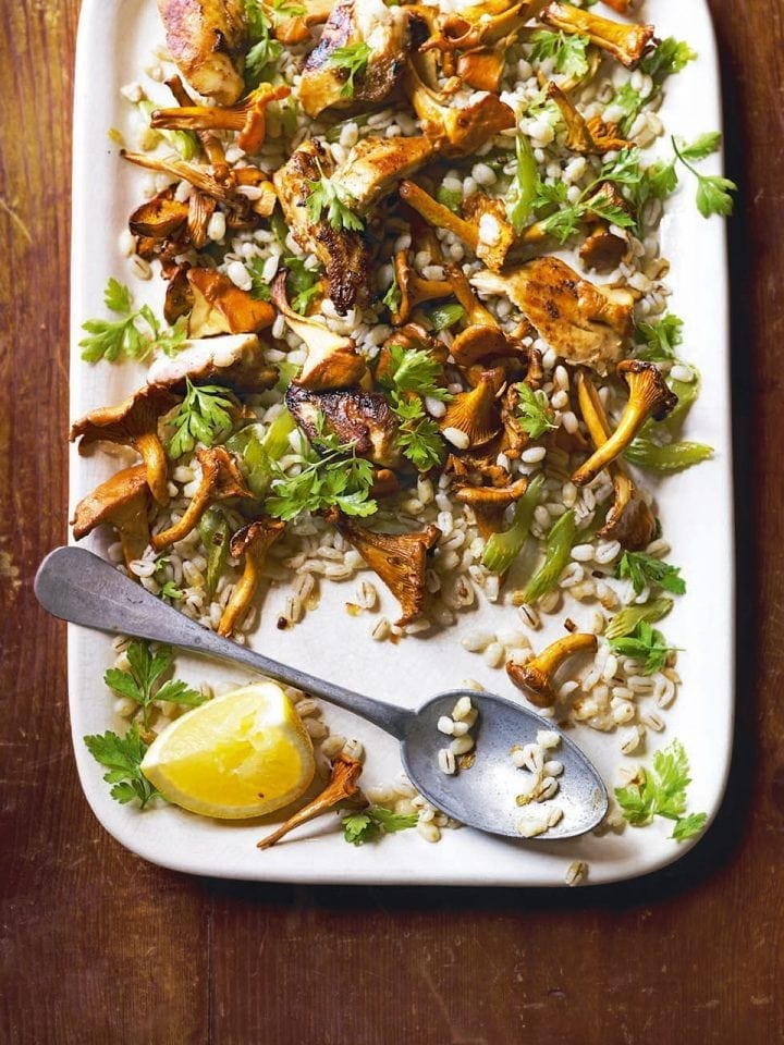 Warm chicken, barley and mushroom salad