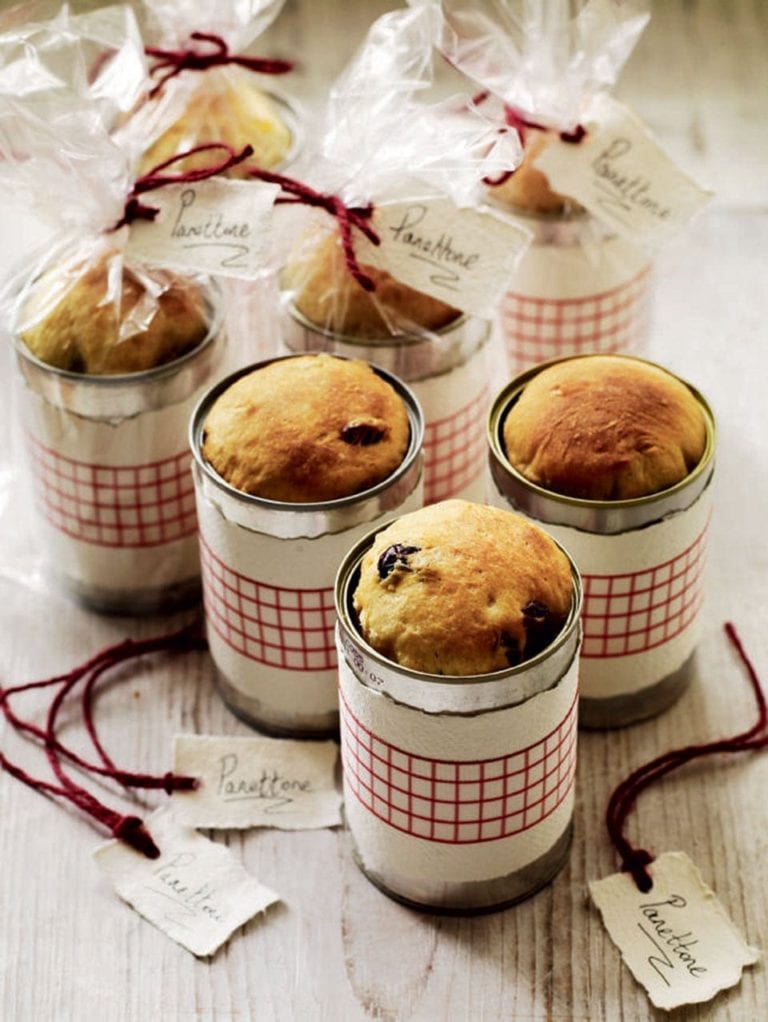 Individual cranberry and candied orange panettone