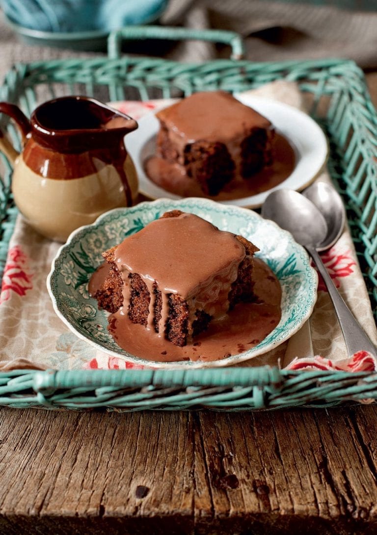 Chocolate sponge with chocolate custard