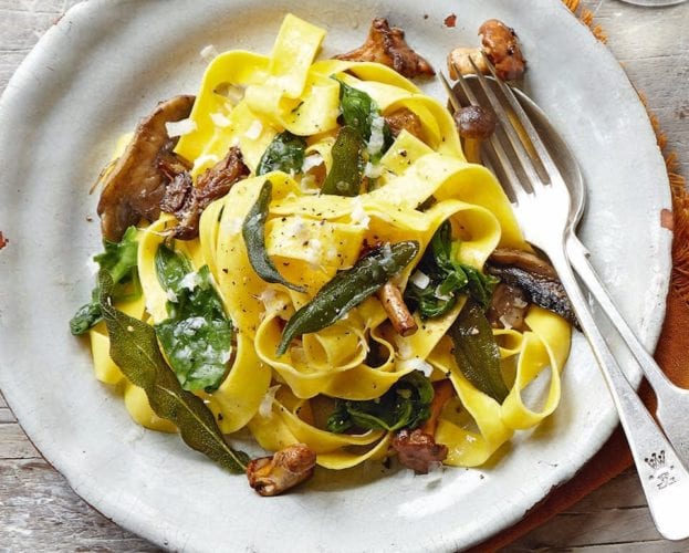 Mushroom papardelle