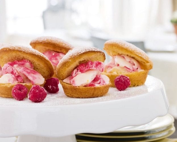 raspberry ripple yogurt