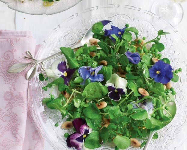 Herb leaf salad