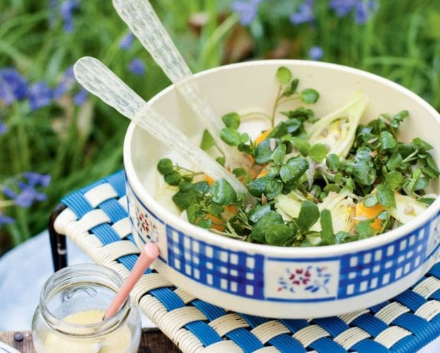 Watercress, fennel and seedy salad