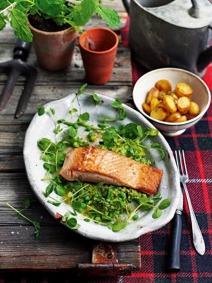 Pan-fried sea trout with watercress, pea shoots and mint sauce