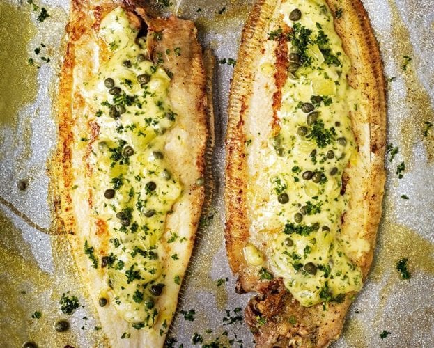 Dover sole