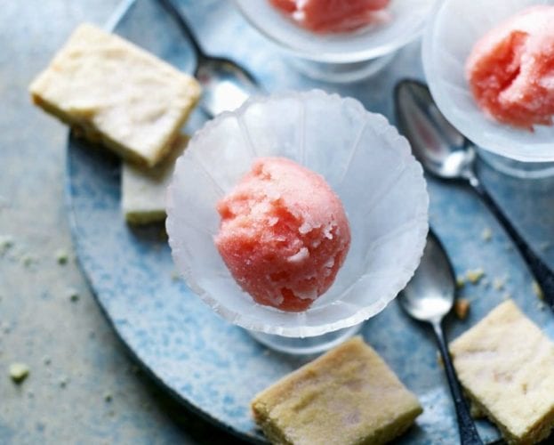 Ruby grapefruit and Campari sorbet