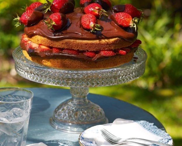 Chocolate and strawberry cake