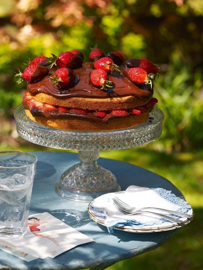 Chocolate and strawberry cake