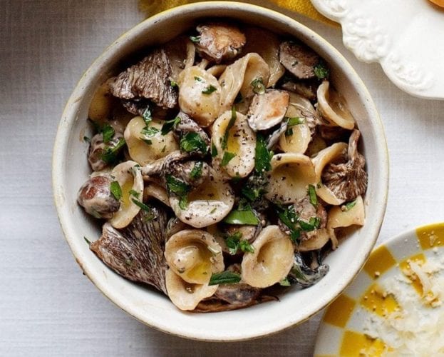 A bowl containing cooked orechiette pasta with morel mushrooms
