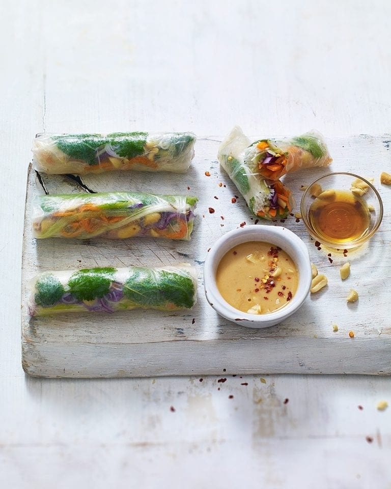 Vegetarian summer rolls with peanut dipping sauce