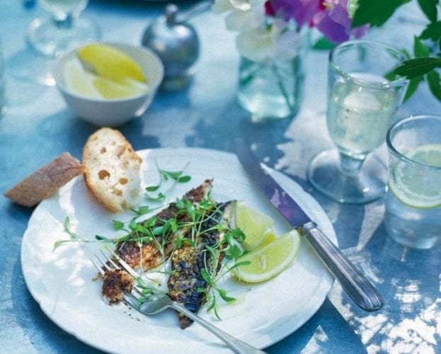 Hot-smoked honey trout with smoky beetroot ’tzatziki’