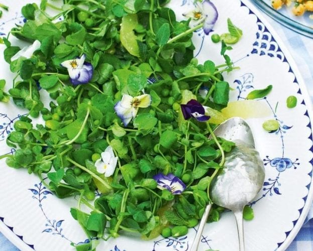 pea shoot salad