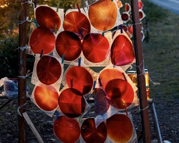 Plum fruit leather