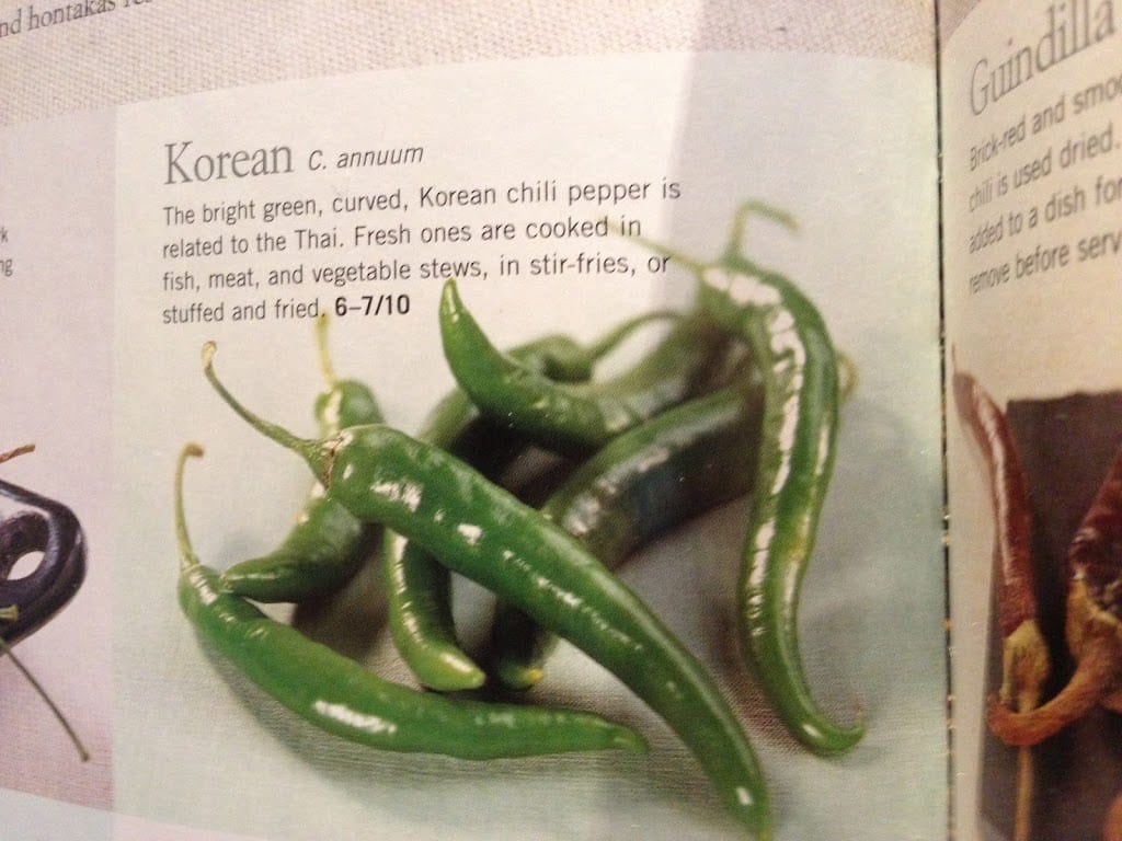 Korean chillies
