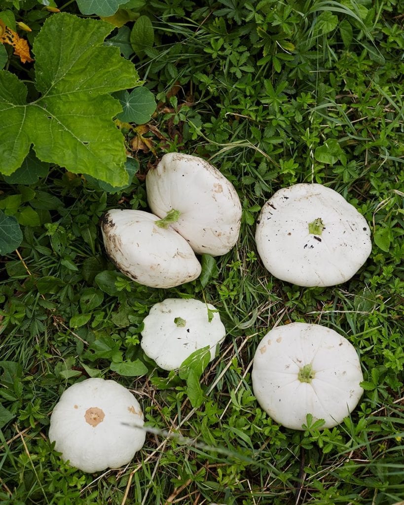 Image of patty pan squashes