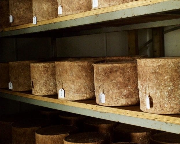 Image of wheels of cheese