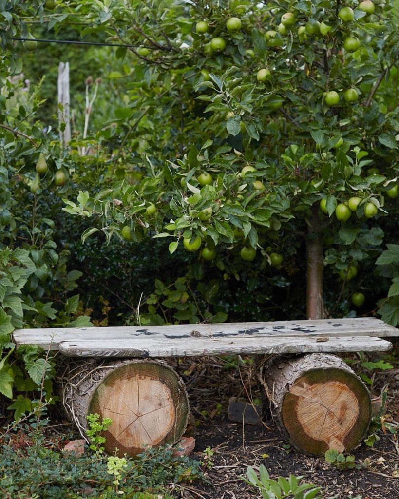 Image of wooden bench under a tree