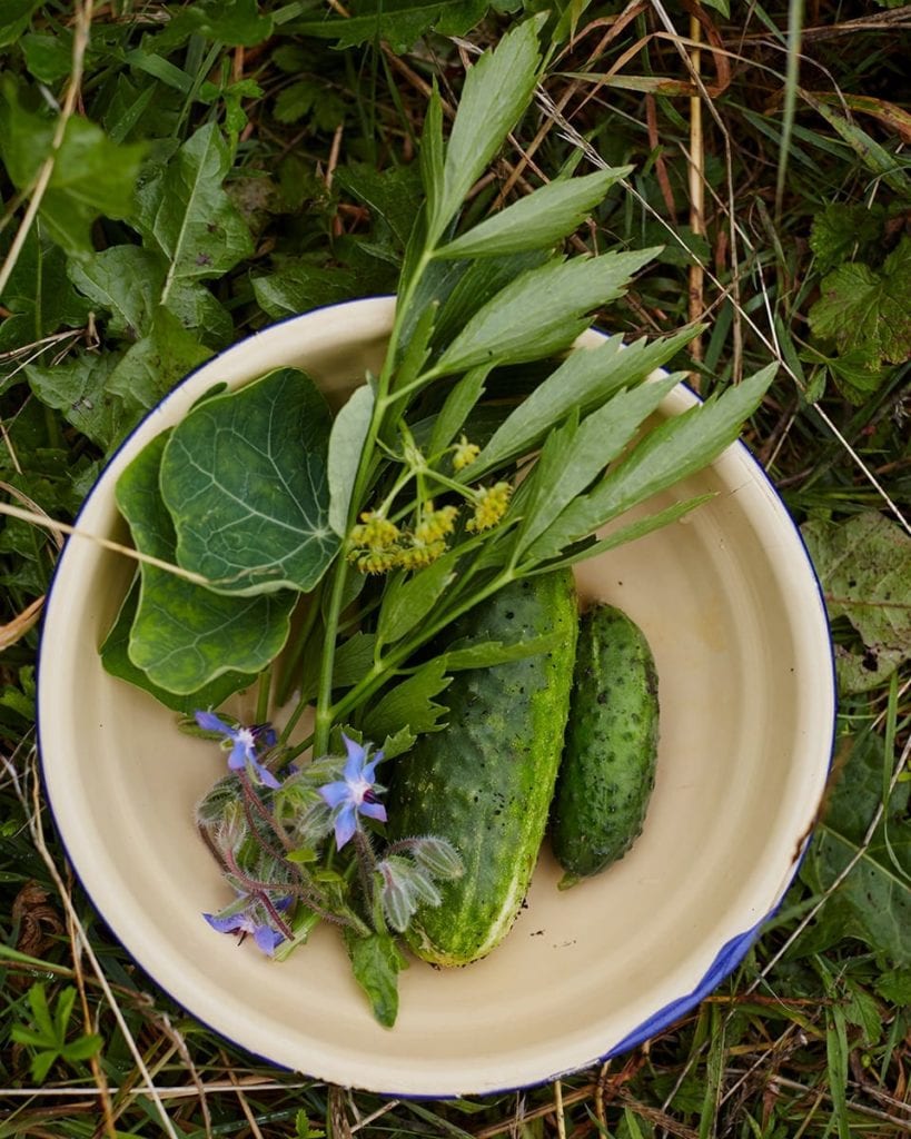 Image of bowl with mini cucumbers and edible flowers