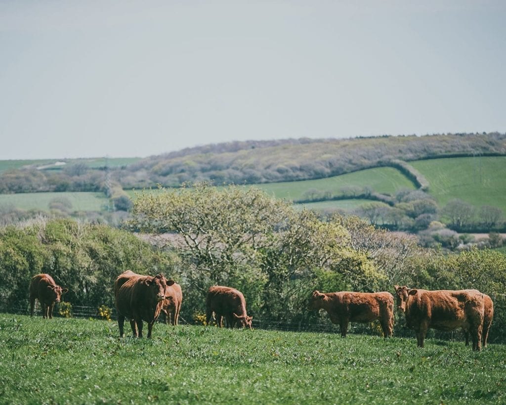 Nancarrow Farm