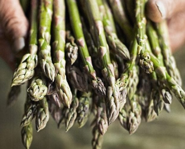 5 fantastic local producers that need your support right now