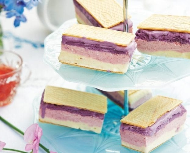 Ice cream sandwiches