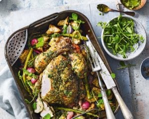 pesto roast chicken