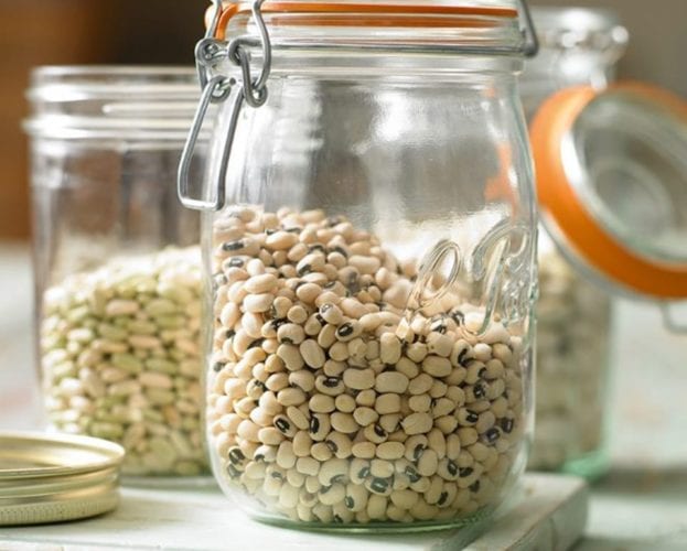 lectins