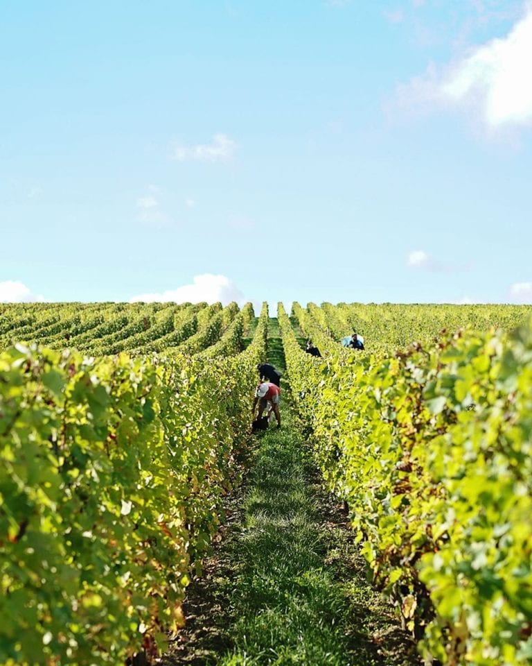 A French revolution in Bordeaux wines: listen now